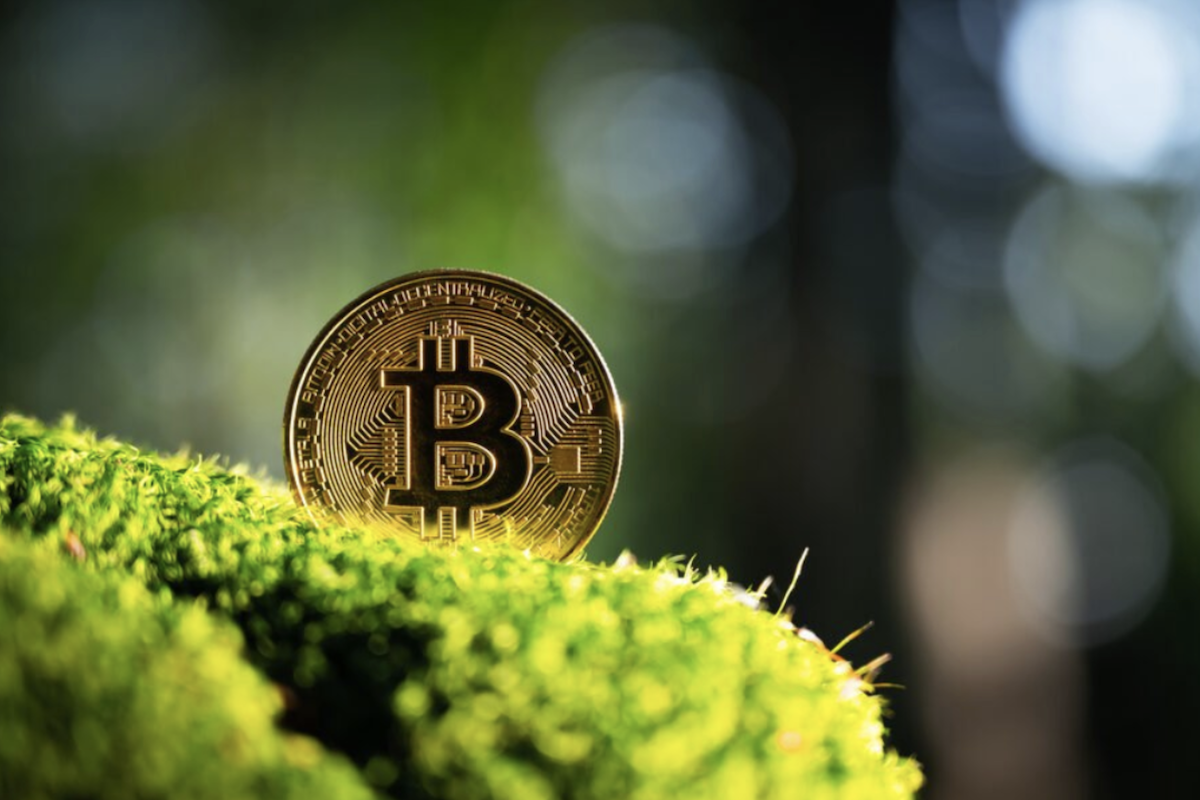 NFT Environmental Footprint Reduction Through Renewable Blockchain Protocols