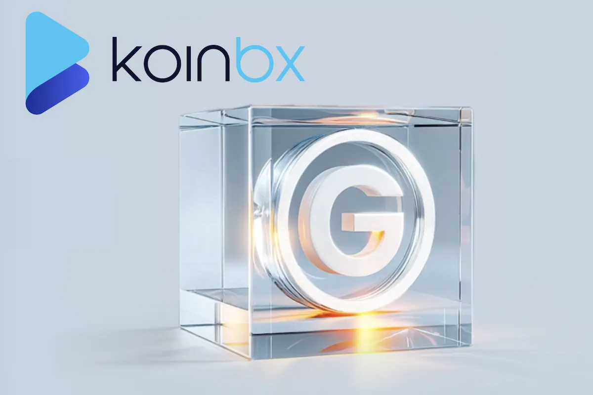 Playnance Koinbx