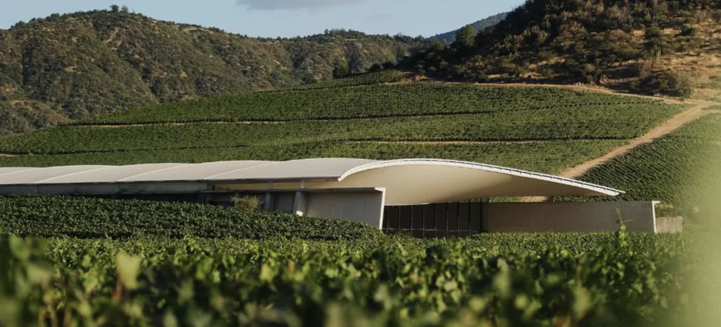 VIK NFTs winery in Chile